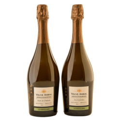 Coffret Crémant Bourgogne Les Cachettes Brut, Forêt de Chabotte Brut (Veuve Ambal) 2016 - Colección