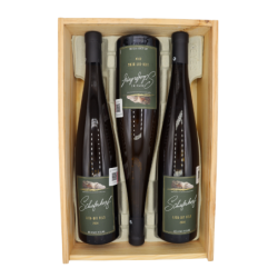 Coffret No. 10 Alsace Riesling Fels, Buehl, Berg (M. Chapoutier) 2014 - Schiste Bleu - Colección