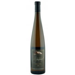 Riesling Lieu-dit Fels BIO (M. Chapoutier) - 2015 - 750 ml