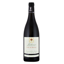 Juliénas Côte de Bessay (Domaine Hamet-Spay) - 2021 - 750 ml