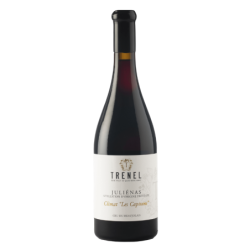 Juliénas Les Capitans (Trenel) - 2019 - 750 ml