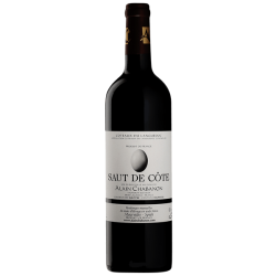 Saut de Côte (Alain Chabanon) - 2017 - 750 ml