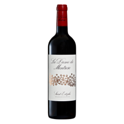 La Dame de Montrose 2éme Vin - 2017 - 750 ml